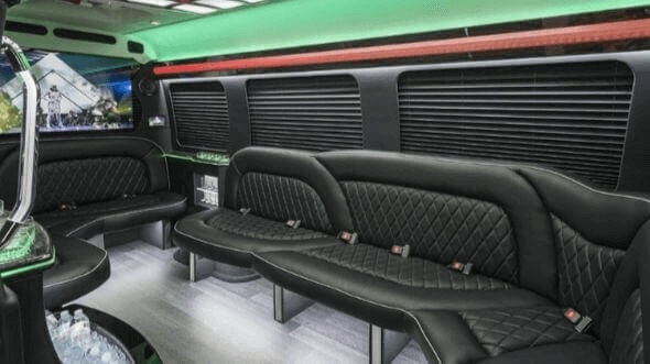 14 passenger sprinter limousine interior